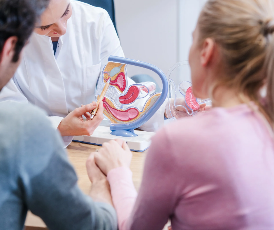 Fertility & Surrogacy
