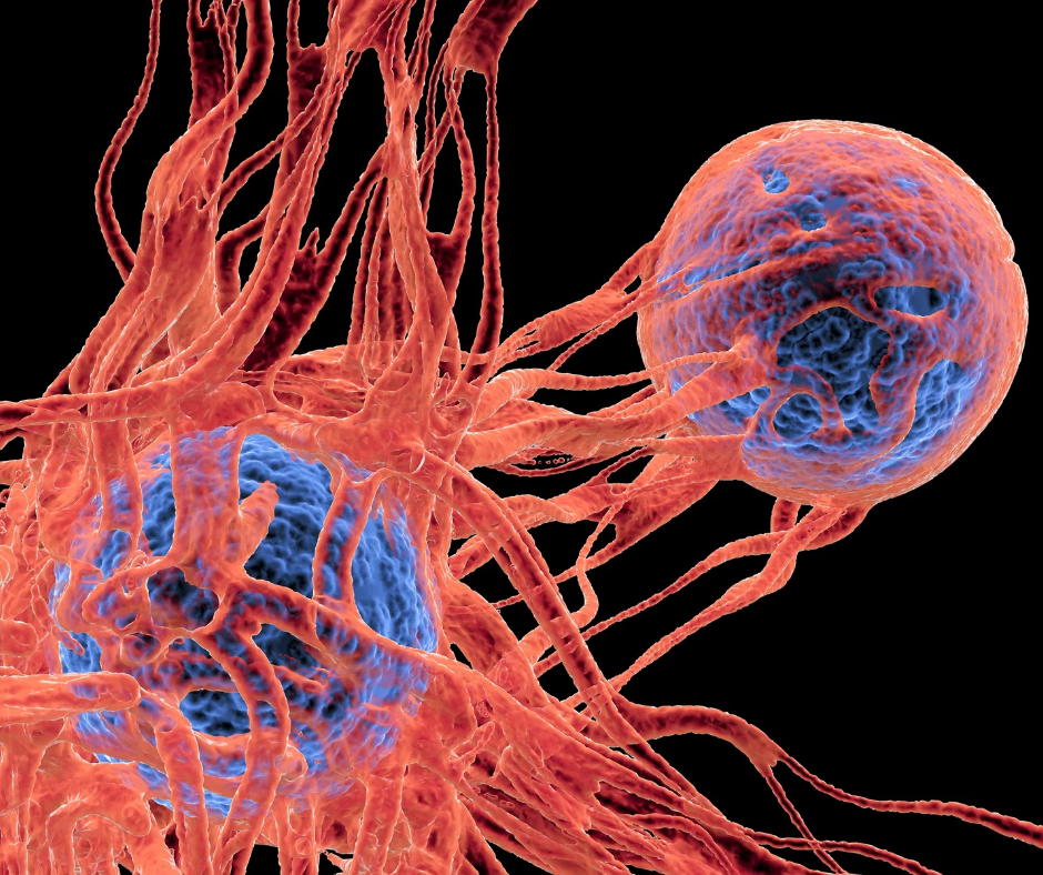 Understanding CAR-T Cell Therapy